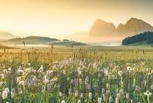 足球14场 比分-足球14场比分，一场数字与激情交织的博弈盛宴